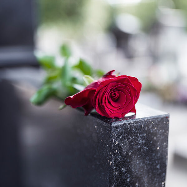 A rose on top of a headstone