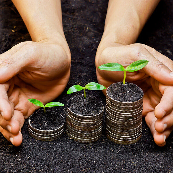 What Is CSR and Why Is It Important for Business?