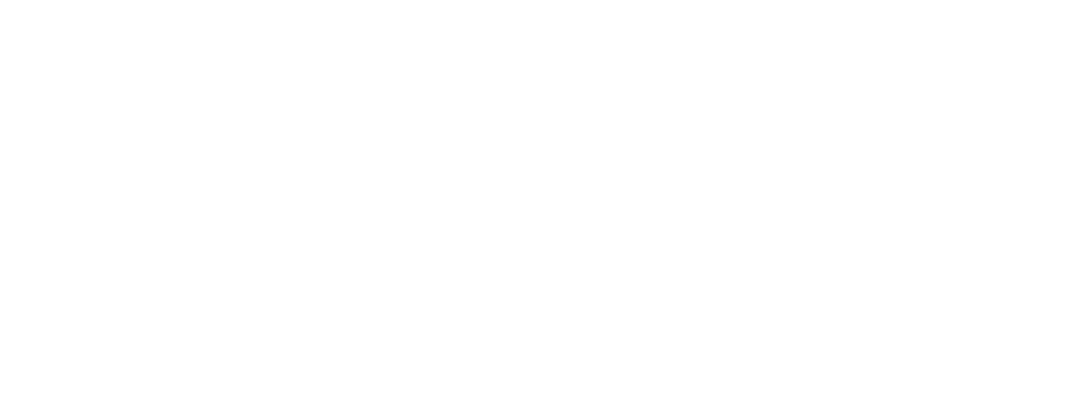 LIQ Auto Logo White